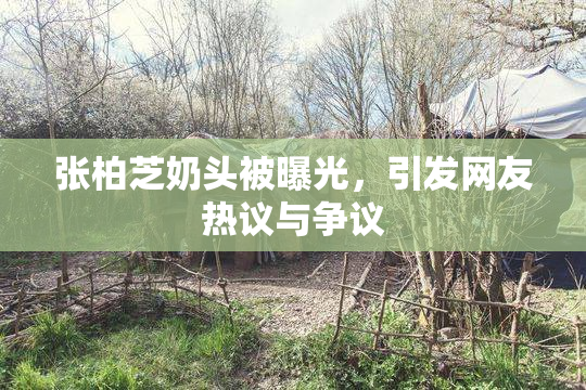 张柏芝奶头被曝光，引发网友热议与争议