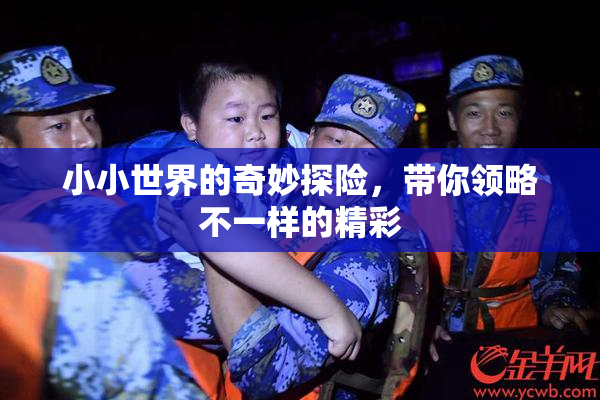 小小世界的奇妙探险，带你领略不一样的精彩