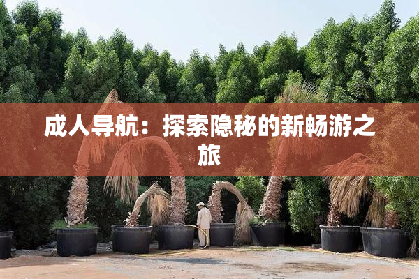 成人导航：探索隐秘的新畅游之旅