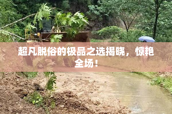 超凡脱俗的极品之选揭晓，惊艳全场！