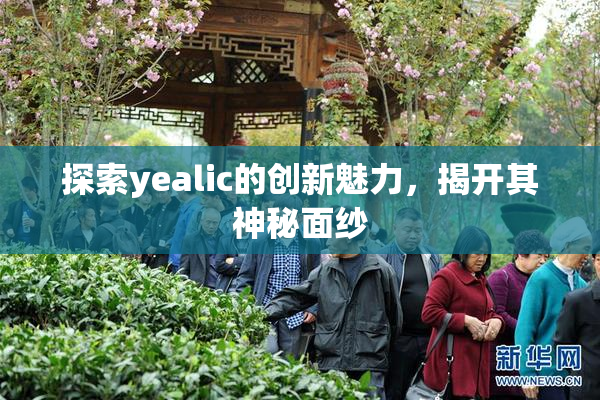探索yealic的创新魅力，揭开其神秘面纱