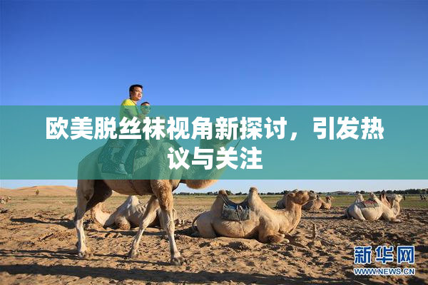 欧美脱丝袜视角新探讨，引发热议与关注