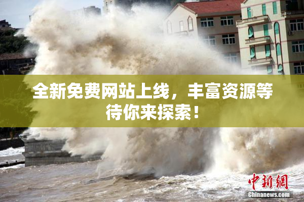 全新免费网站上线，丰富资源等待你来探索！