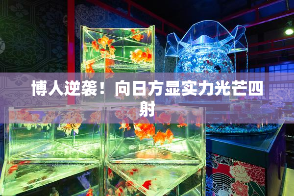 博人逆袭！向日方显实力光芒四射