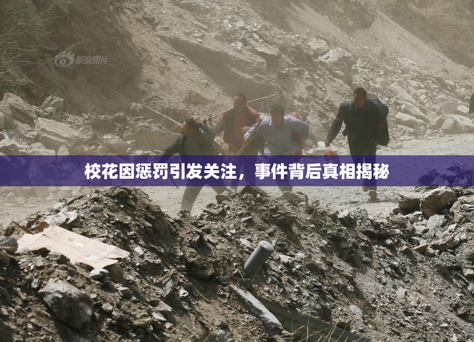 校花因惩罚引发关注，事件背后真相揭秘