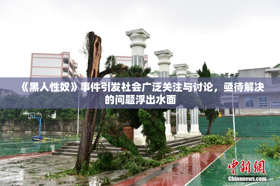 《黑人性奴》事件引发社会广泛关注与讨论，亟待解决的问题浮出水面