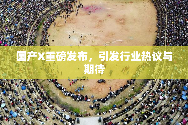 国产X重磅发布，引发行业热议与期待