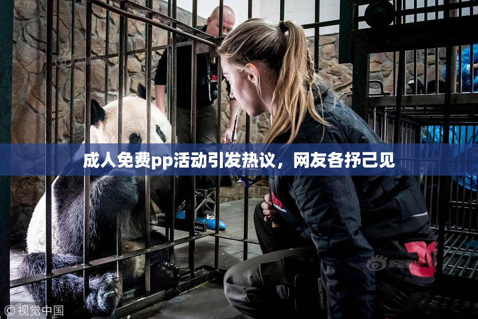 成人免费pp活动引发热议，网友各抒己见