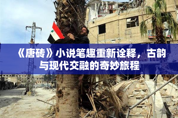 《唐砖》小说笔趣重新诠释，古韵与现代交融的奇妙旅程
