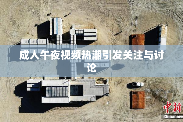 成人午夜视频热潮引发关注与讨论