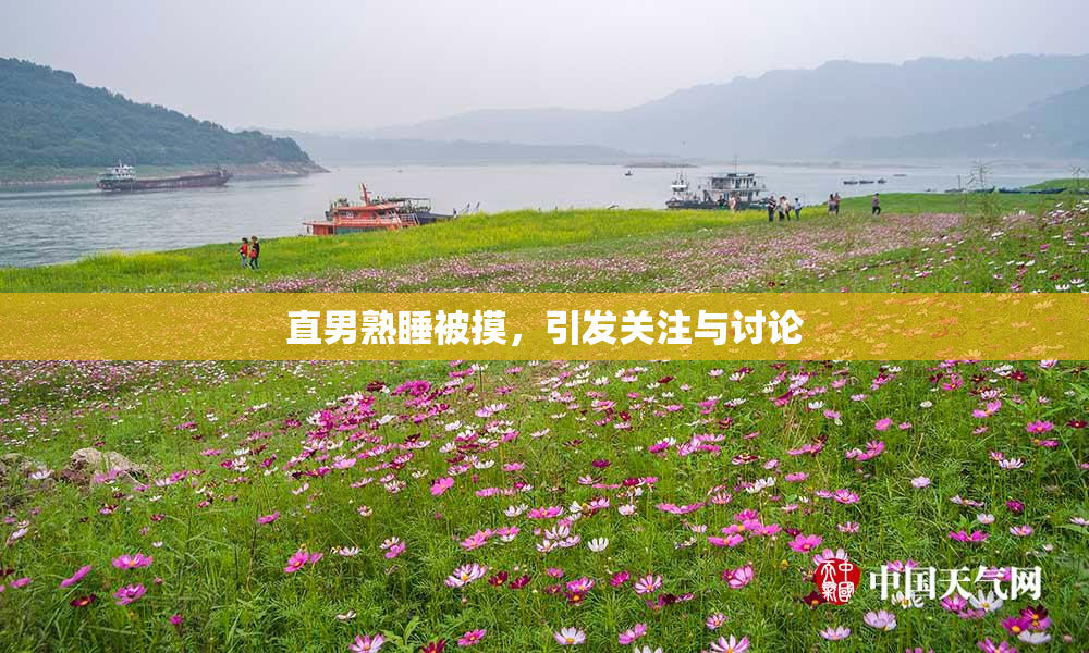 直男熟睡被摸，引发关注与讨论
