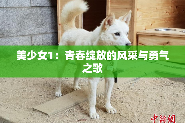 美少女1：青春绽放的风采与勇气之歌