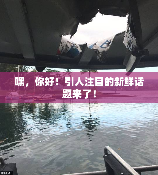 嘿，你好！引人注目的新鲜话题来了！