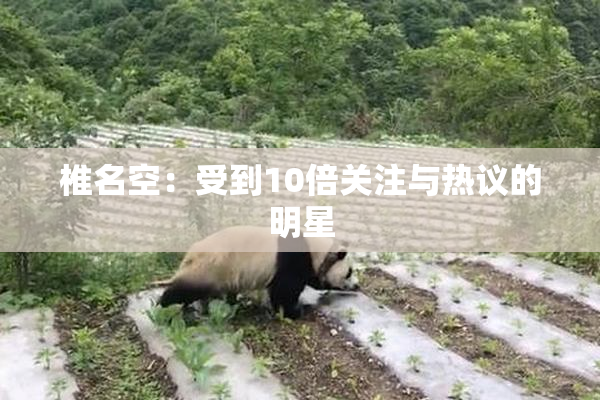 椎名空：受到10倍关注与热议的明星