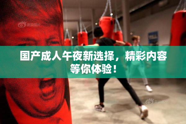 国产成人午夜新选择，精彩内容等你体验！