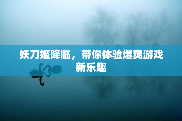 妖刀姬降临，带你体验爆爽游戏新乐趣