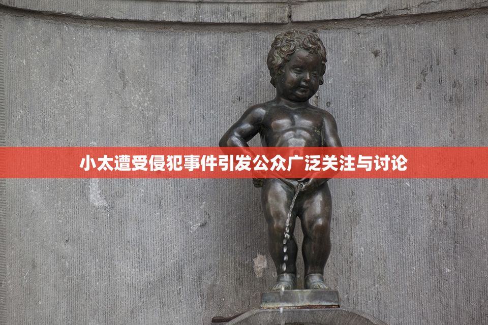 小太遭受侵犯事件引发公众广泛关注与讨论