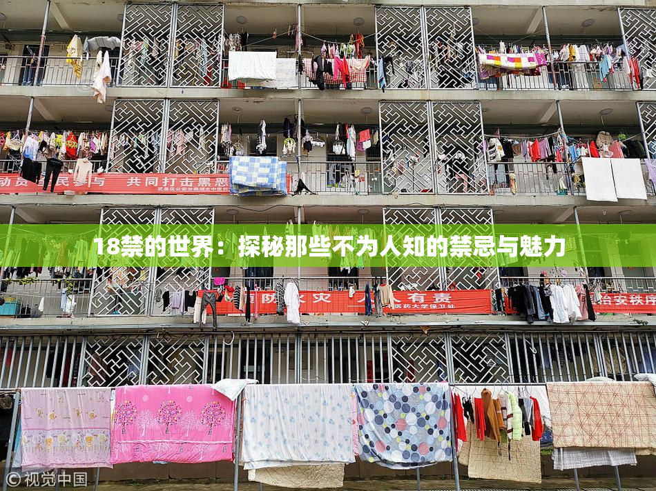 18禁的世界：探秘那些不为人知的禁忌与魅力
