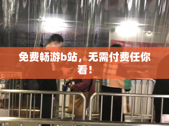 免费畅游b站，无需付费任你看！