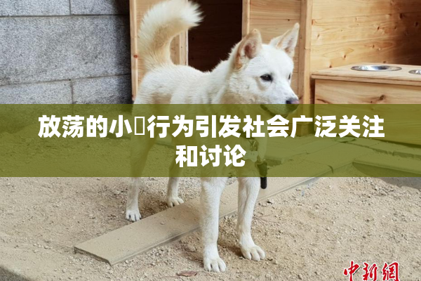 放荡的小婬行为引发社会广泛关注和讨论