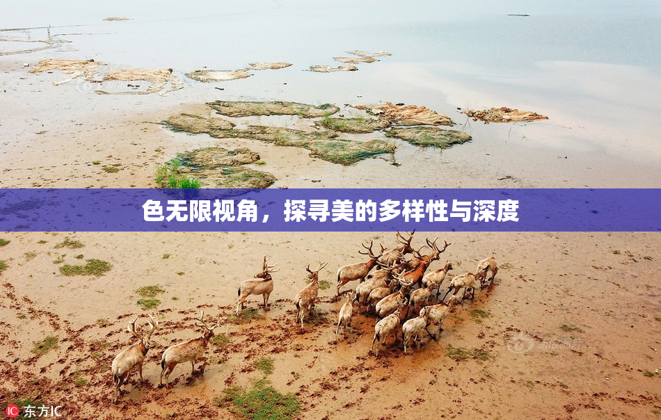 色无限视角，探寻美的多样性与深度