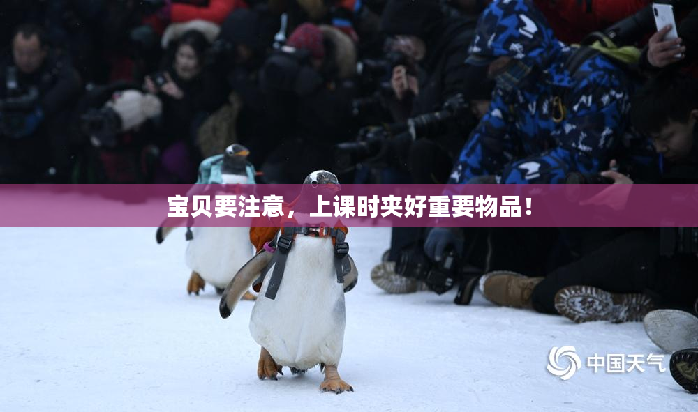 宝贝要注意，上课时夹好重要物品！