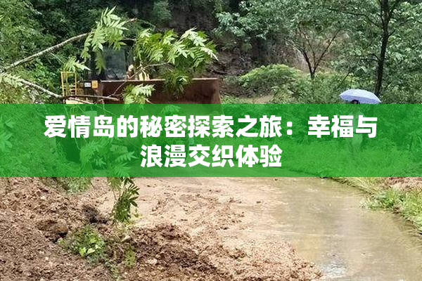 爱情岛的秘密探索之旅：幸福与浪漫交织体验