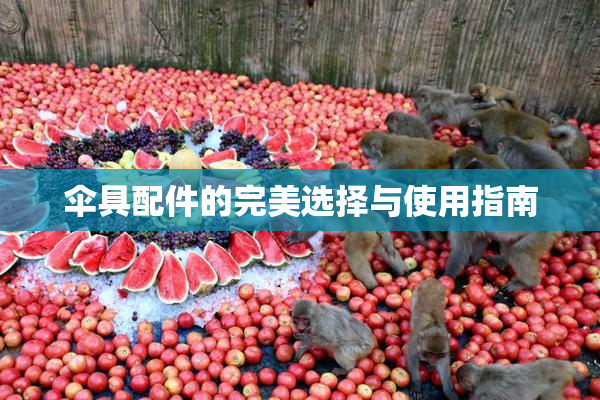 伞具配件的完美选择与使用指南
