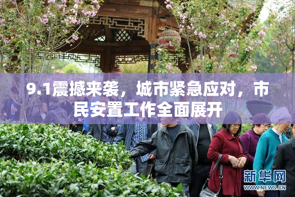 9.1震撼来袭，城市紧急应对，市民安置工作全面展开