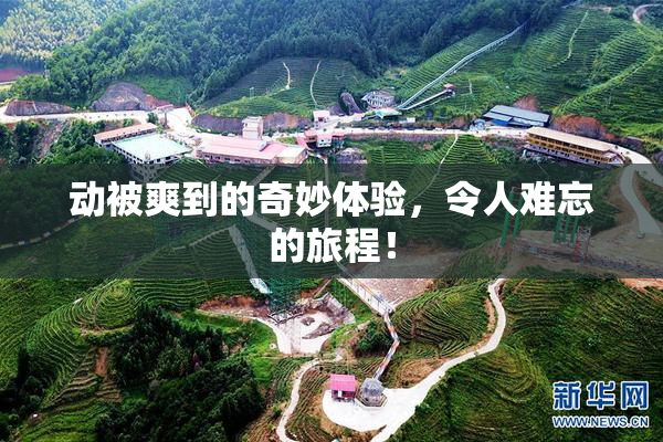 动被爽到的奇妙体验，令人难忘的旅程！