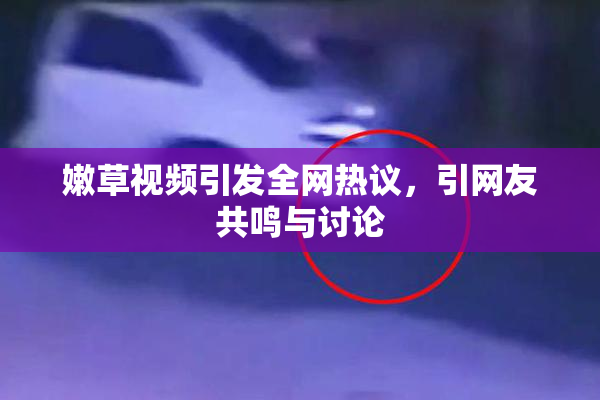 嫩草视频引发全网热议，引网友共鸣与讨论