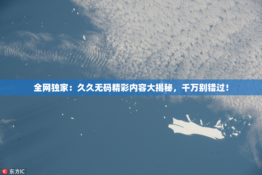 全网独家：久久无码精彩内容大揭秘，千万别错过！