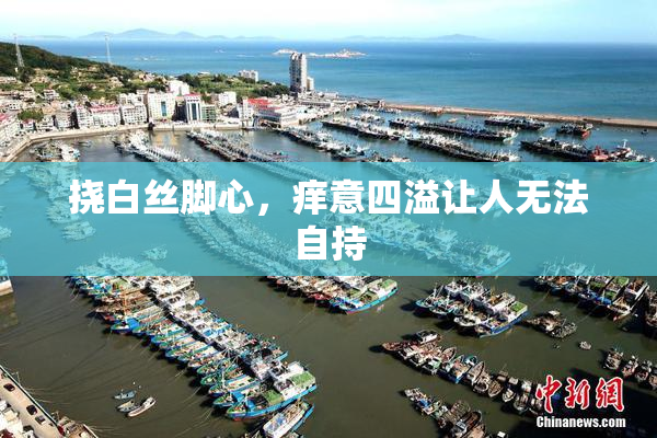 挠白丝脚心，痒意四溢让人无法自持