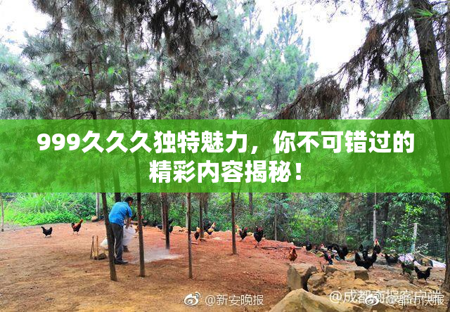 999久久久独特魅力，你不可错过的精彩内容揭秘！