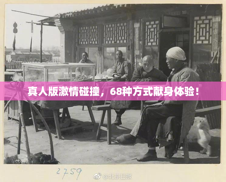 真人版激情碰撞，68种方式献身体验！