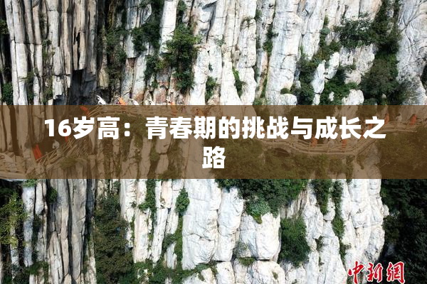 16岁高：青春期的挑战与成长之路