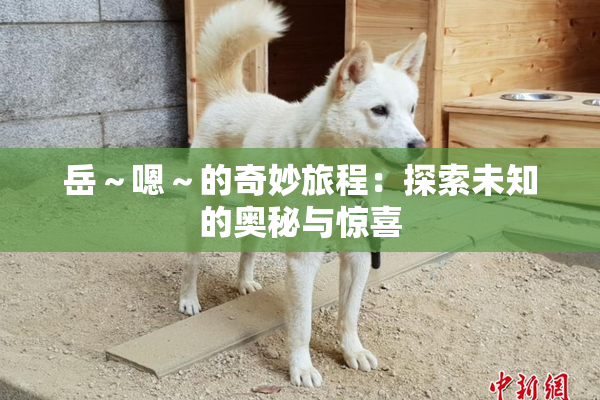 岳～嗯～的奇妙旅程：探索未知的奥秘与惊喜
