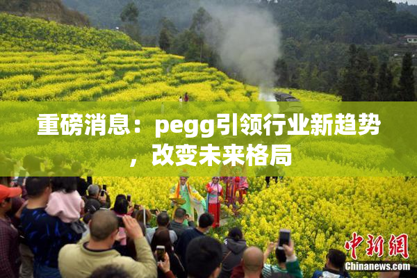 重磅消息：pegg引领行业新趋势，改变未来格局