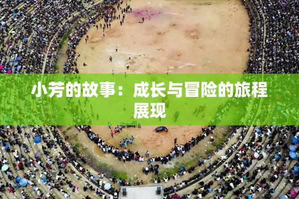 小芳的故事：成长与冒险的旅程展现