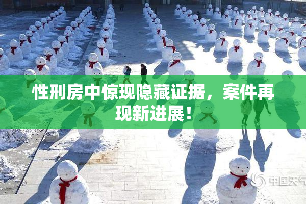 性刑房中惊现隐藏证据，案件再现新进展！