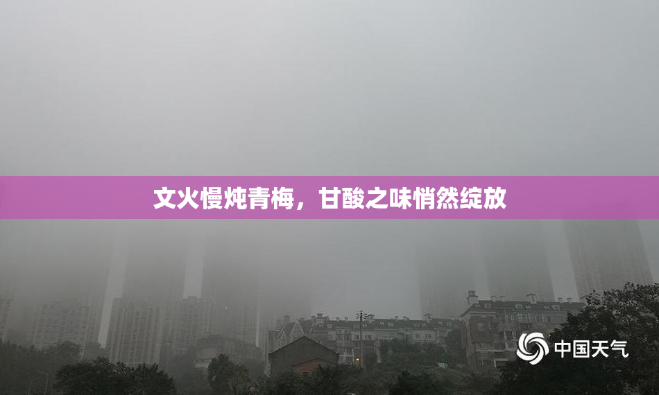 文火慢炖青梅，甘酸之味悄然绽放