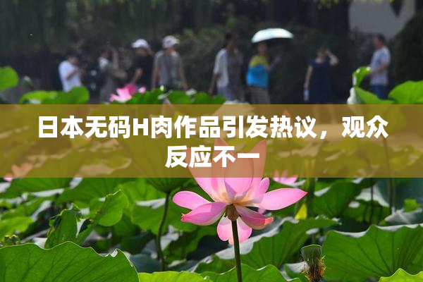 日本无码H肉作品引发热议，观众反应不一
