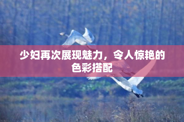 少妇再次展现魅力，令人惊艳的色彩搭配