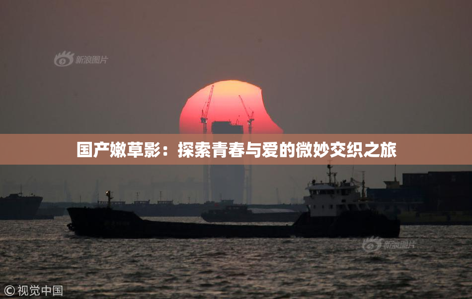 国产嫩草影：探索青春与爱的微妙交织之旅