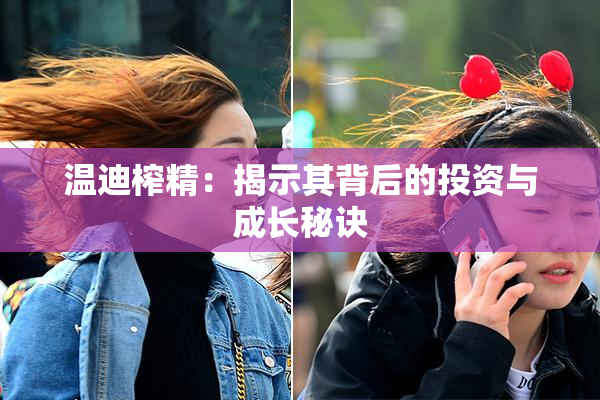 温迪榨精：揭示其背后的投资与成长秘诀