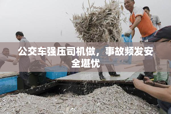 公交车强压司机做，事故频发安全堪忧