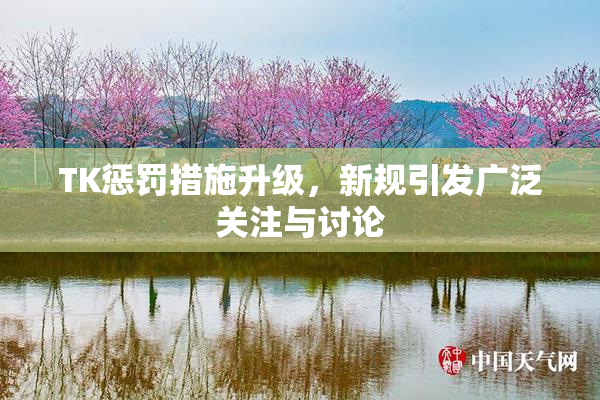 TK惩罚措施升级，新规引发广泛关注与讨论