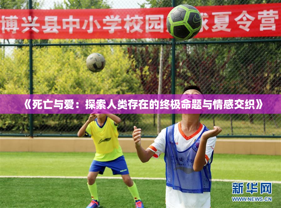 《死亡与爱：探索人类存在的终极命题与情感交织》