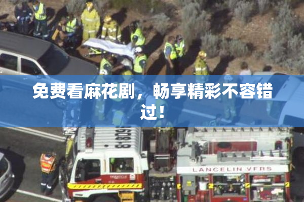 免费看麻花剧，畅享精彩不容错过！
