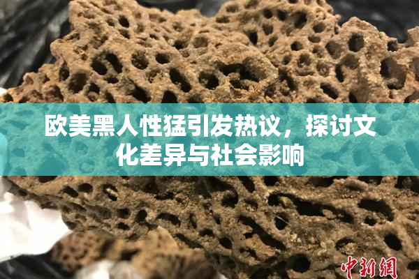 欧美黑人性猛引发热议，探讨文化差异与社会影响
